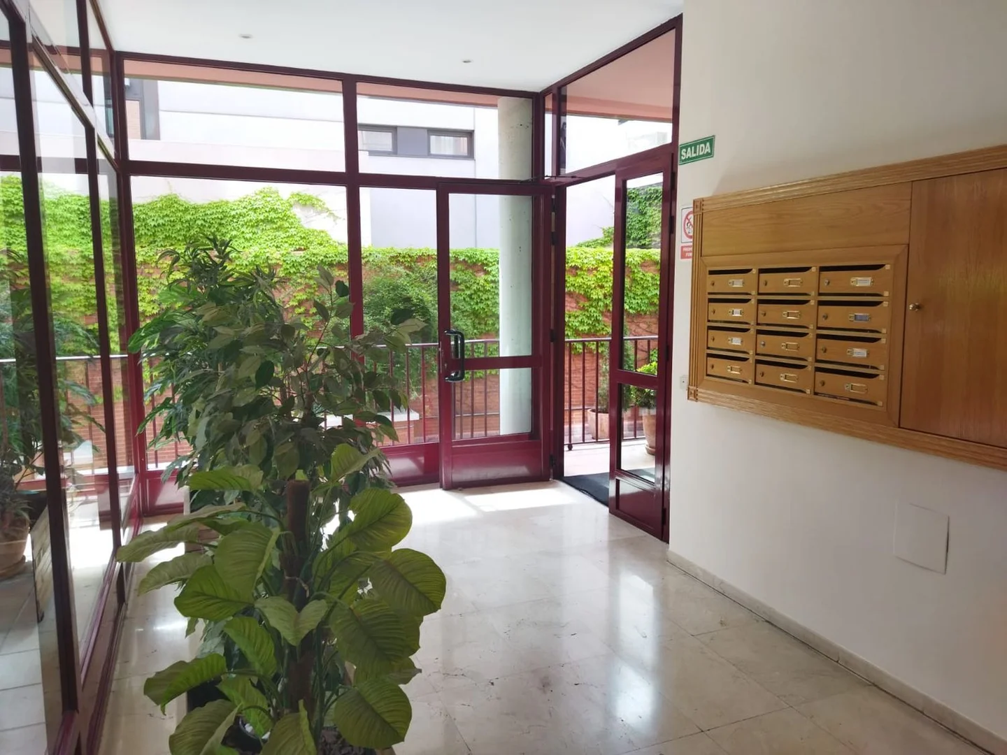 Estudio en calle de Agastia, 42 - Foto 6