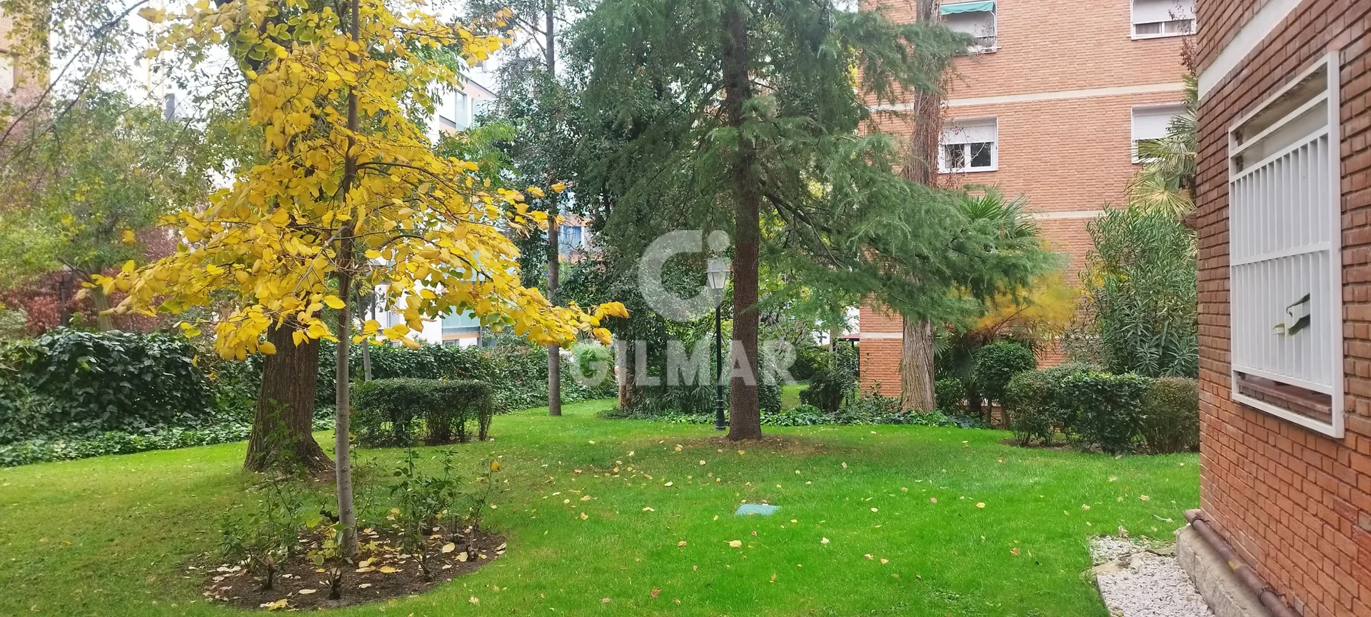 Bajo en Mirasierra, Madrid - Foto 48