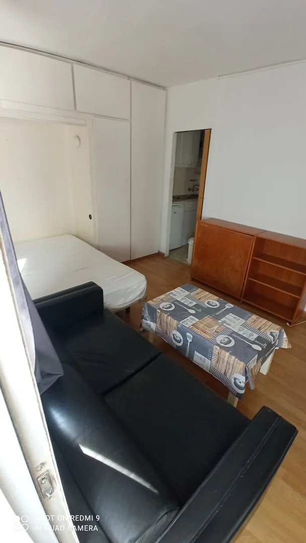 Estudio en Calle de Manuel Uribe, Atalaya - Foto 16