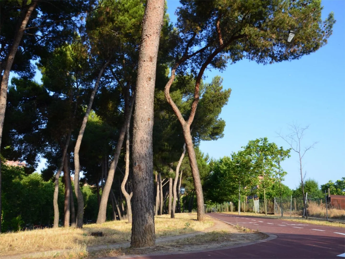 Piso en  Madrid Capital - Foto 18