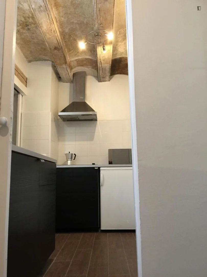 Piso en Calle de la Llibreteria, El Gòtic - Foto 19