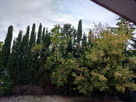 Piso en Cerro del Castañar, 193 - Foto 23