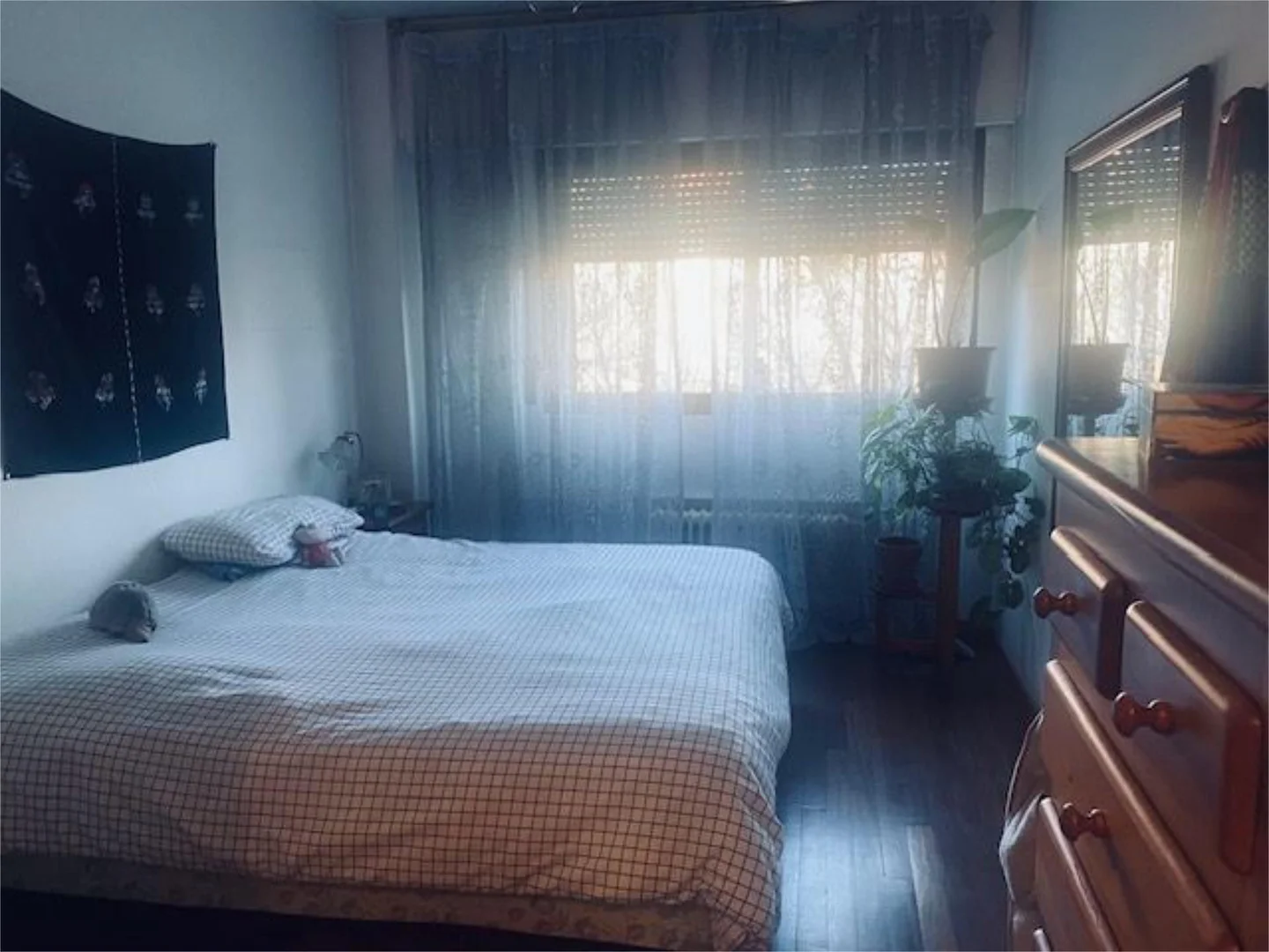 Piso en  Avenida del Mediterráneo 21 - Foto 16