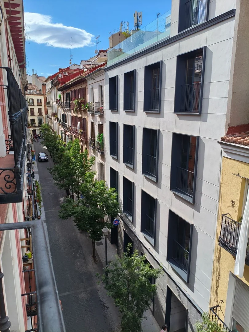 Estudio en Calle hernán cortés, 14 - Foto 11