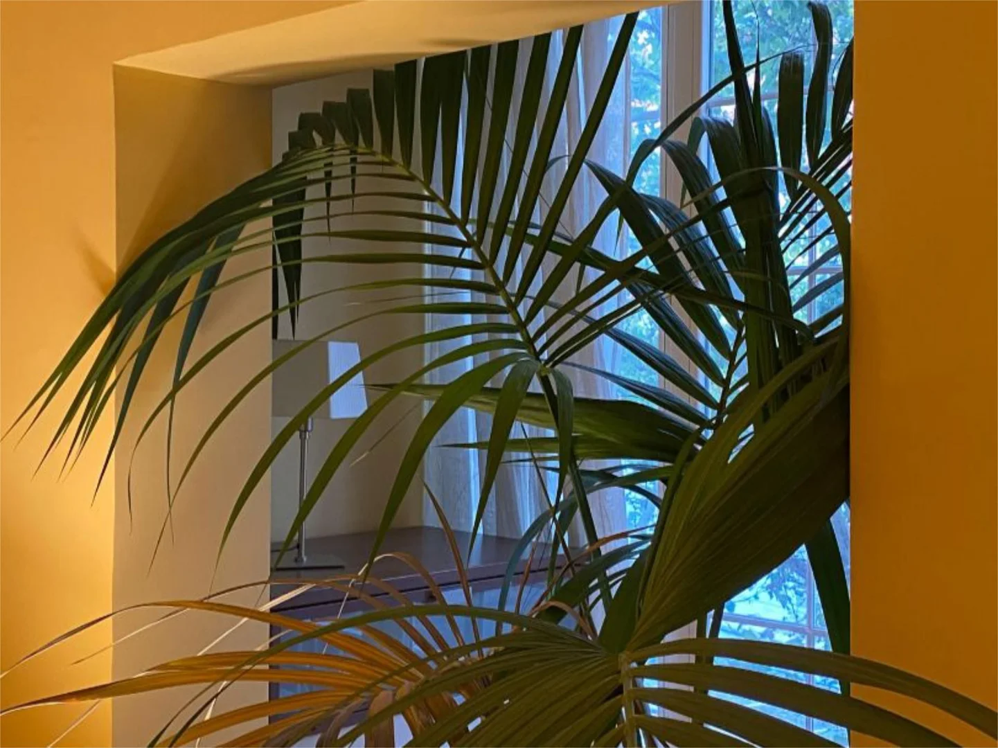 Piso en  Calle de Suero de Quiñones 30 - Foto 17