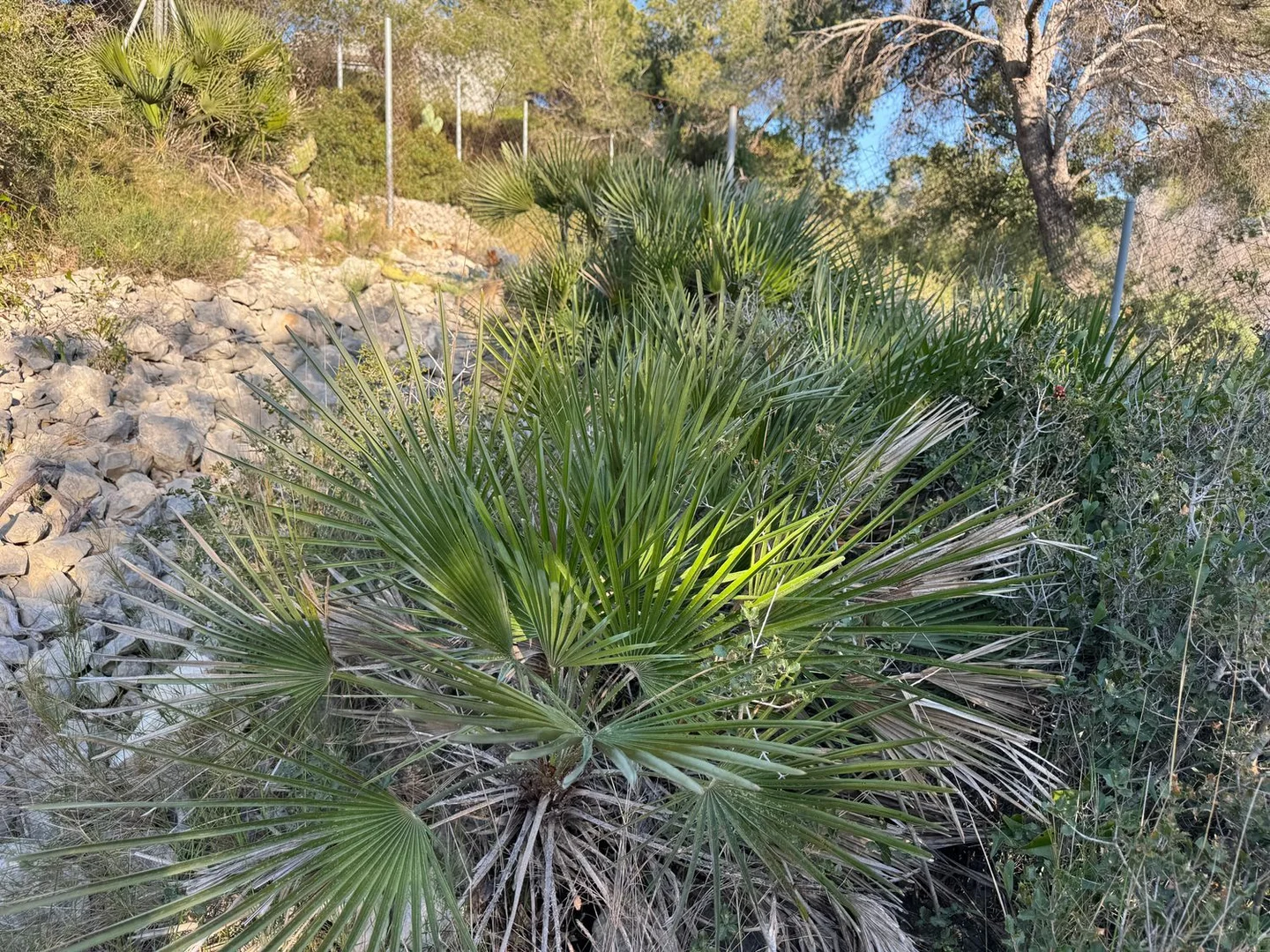 Casa independiente en calle Violeta, 38 - Foto 25