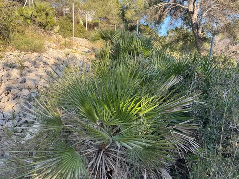 Casa independiente en calle Violeta, 38 - Foto 25