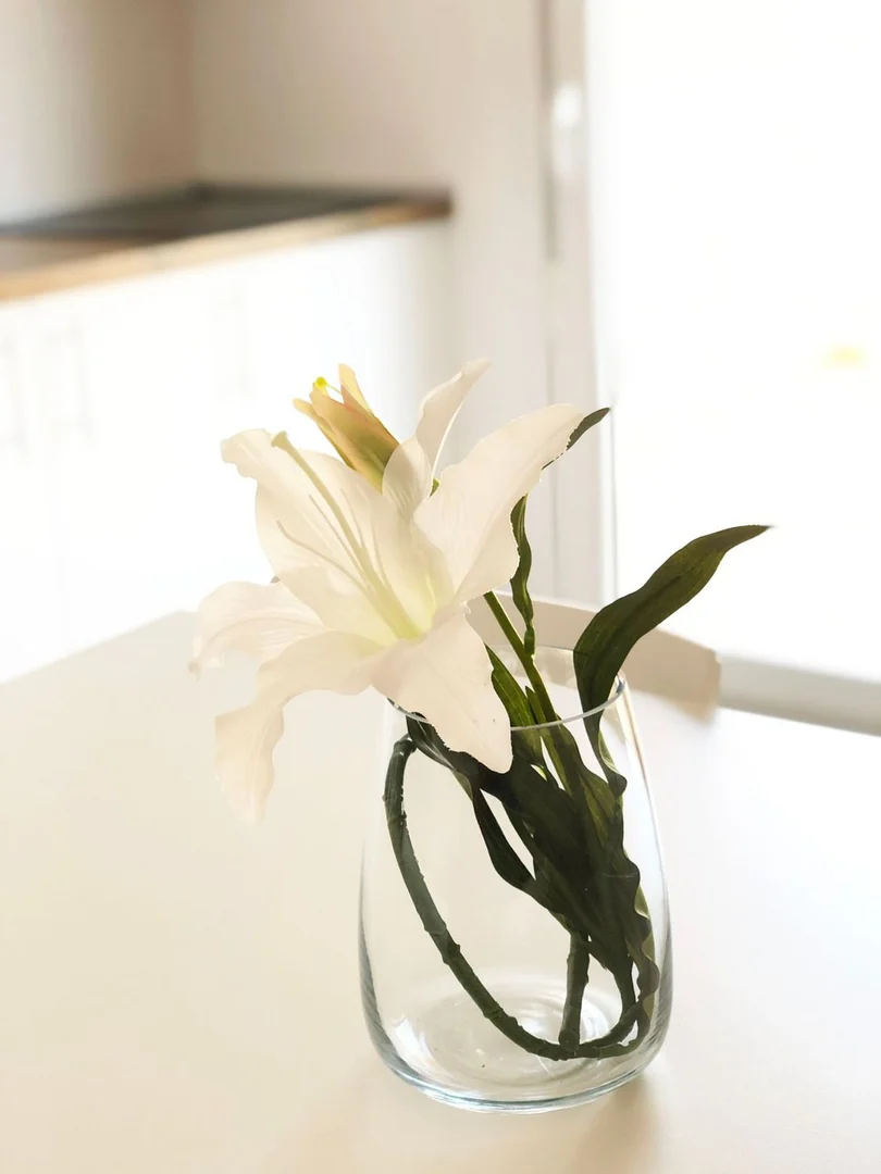 Estudio en calle Baracaldo, 3 - Foto 17