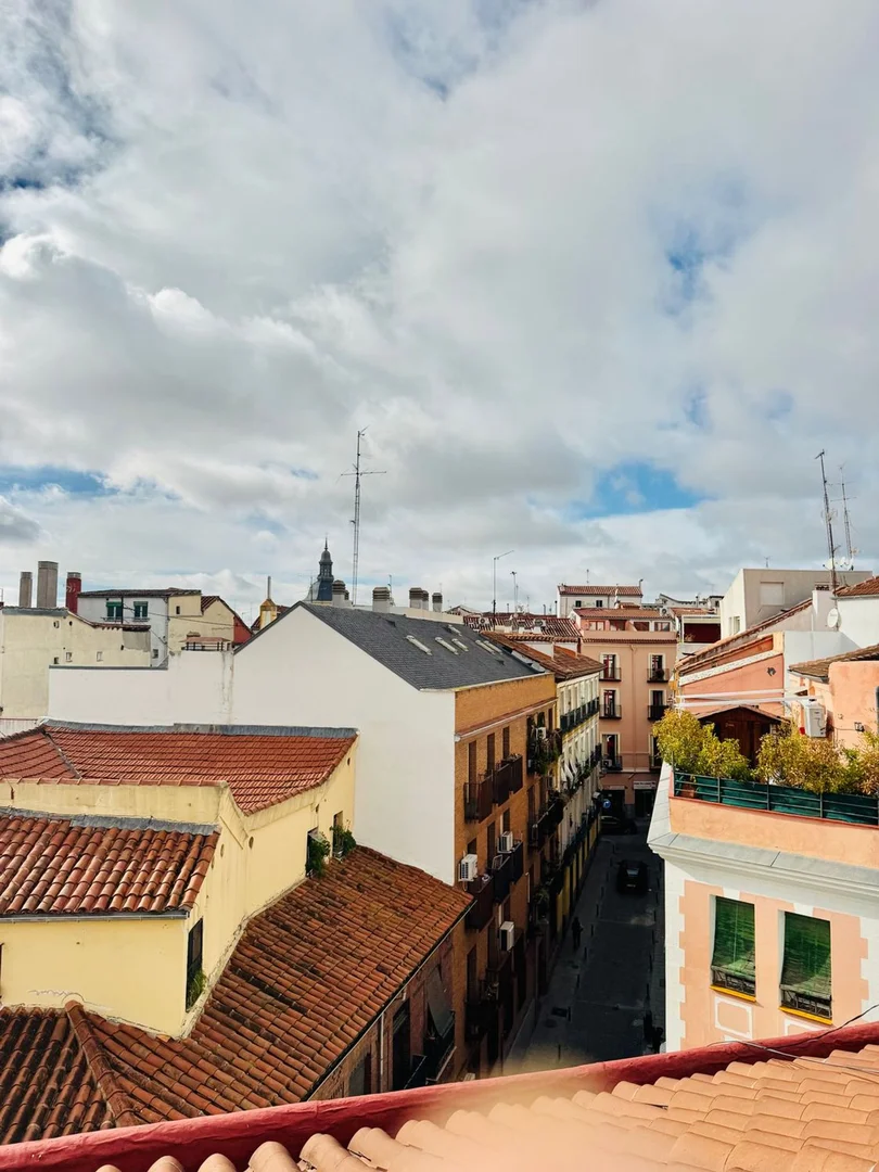 Piso en Barrio Lavapiés-Embajadores - Foto 19