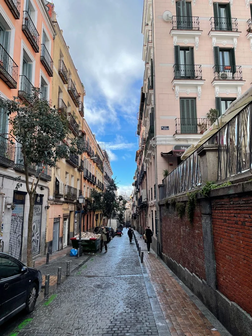 Piso en Calle Marqués de Santa Ana, 41, Malasaña-Universidad - Foto 36