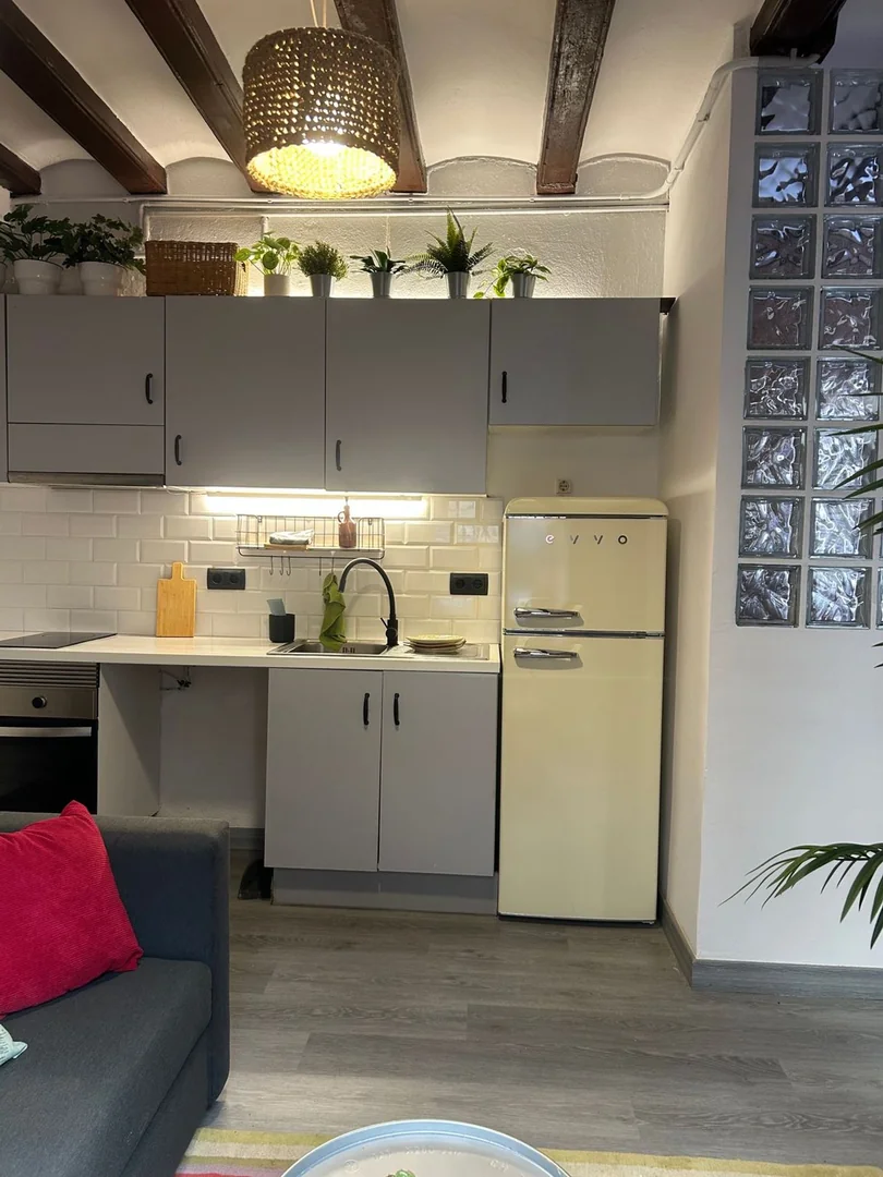 Piso en Calle de Guítert, 32, La Barceloneta - Foto 13