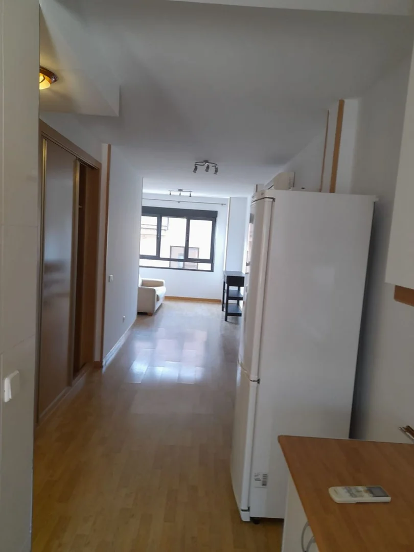 Estudio en Josefina Veredas, Pradolongo - Foto 7