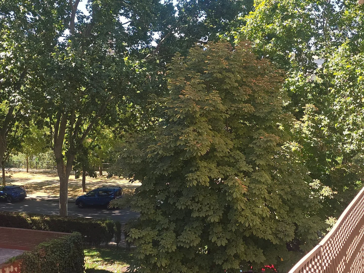 Piso en Avenida Valladolid, 33, Casa de Campo - Foto 24