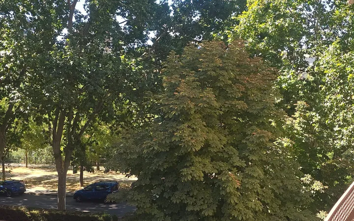 Piso en Avenida Valladolid, 33, Casa de Campo - Foto 24