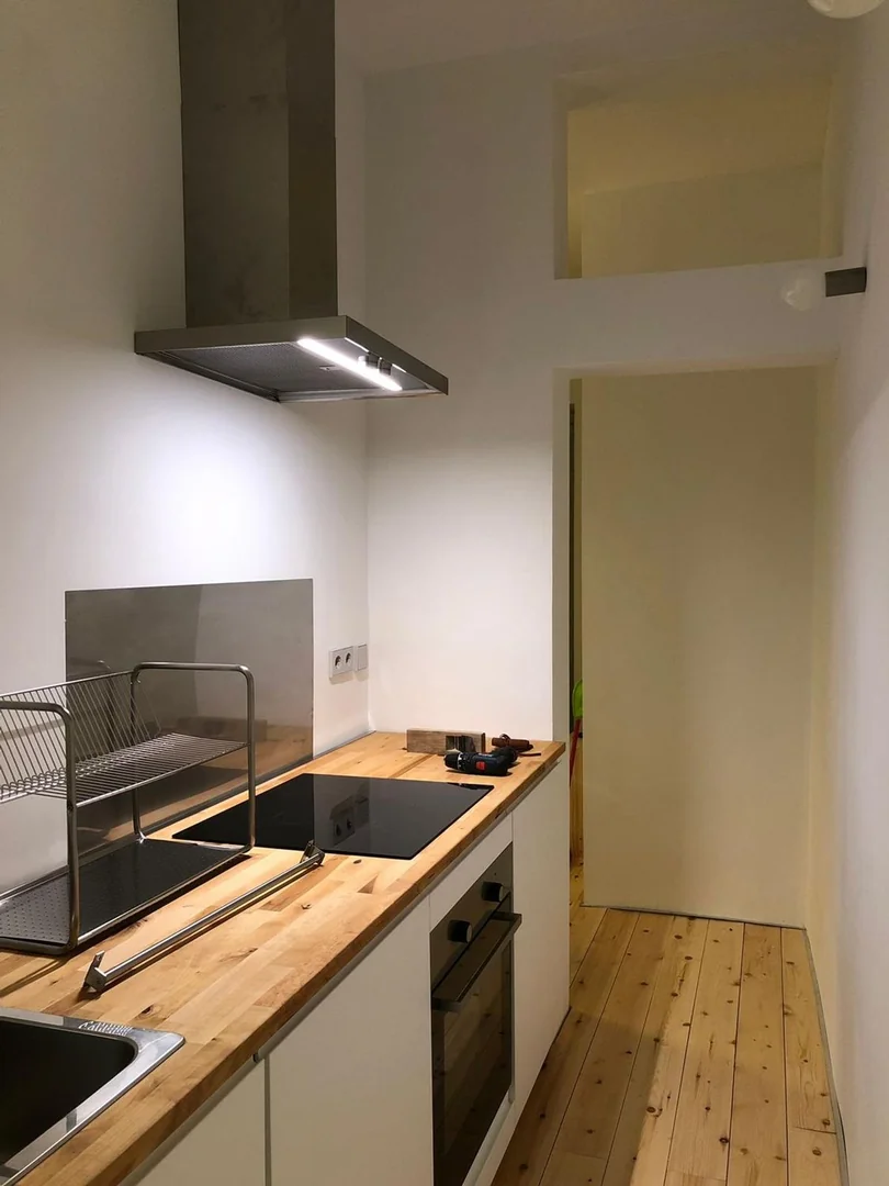Piso en Calle de Buenavista, 38, Lavapiés-Embajadores - Foto 12