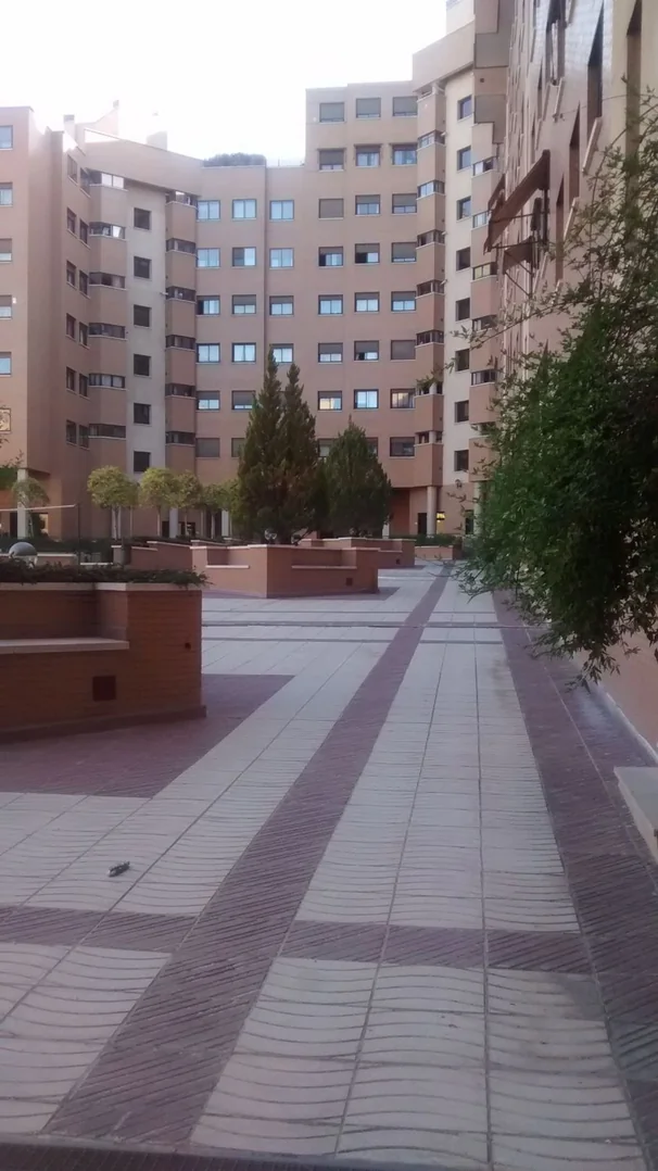Piso en Calle Minerva, 81, Valdebernardo - Valderrivas - Foto 27