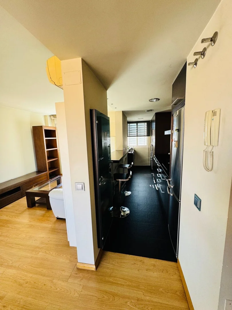 Ático en calle de Vicente Blasco Ibáñez, 4 b - Foto 20