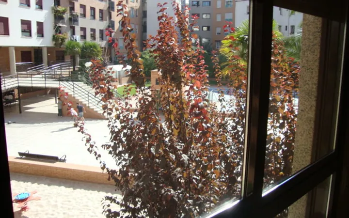 Piso en Calle Jaime el Conquistador, 13, Chopera - Foto 10