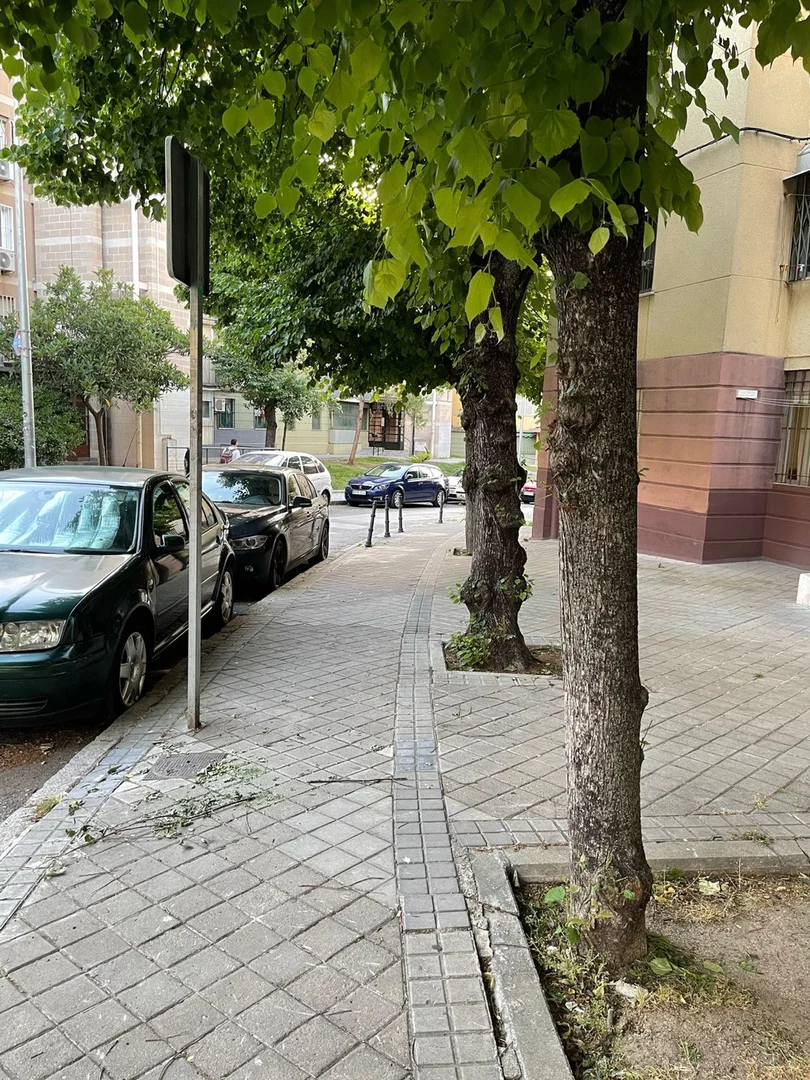 Piso en Calle de San Magín, 11, Zofío - Foto 36