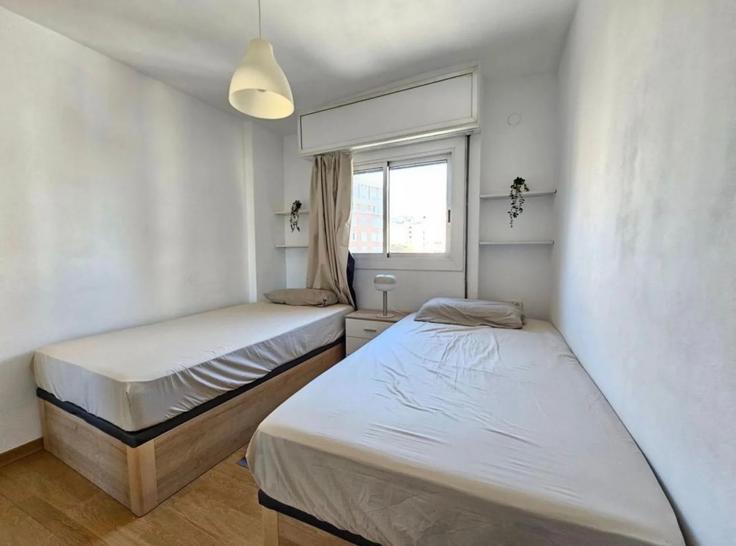 Piso en calle de Narciso Serra, 22 - Foto 17