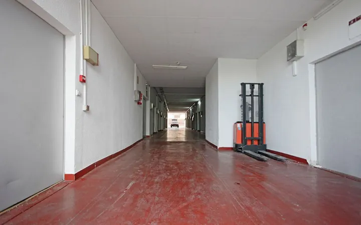 Local en Calle Arboleda, 14, Palomeras sureste - Foto 3