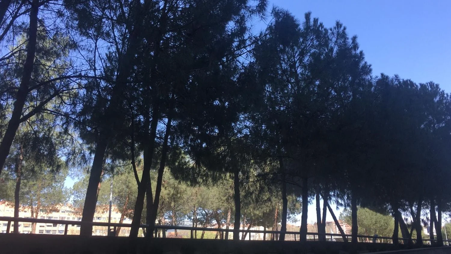 Piso en Avenida del Manzanares, 98, San Isidro - Foto 17