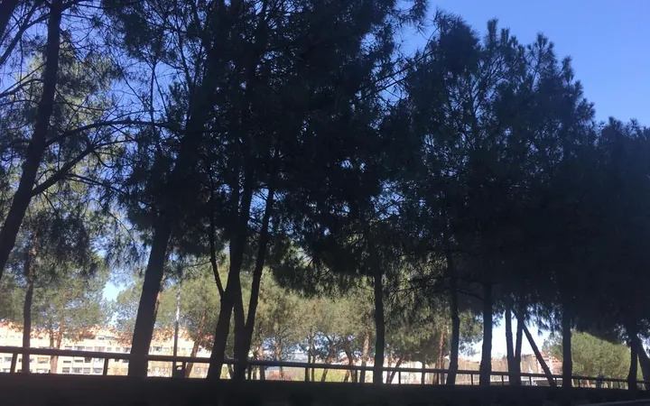 Piso en Avenida del Manzanares, 98, San Isidro - Foto 17