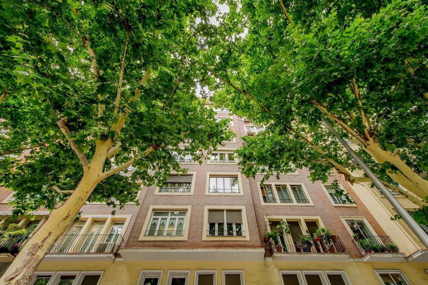 Piso en paseo de San Francisco de Sales, 9 - Foto 19