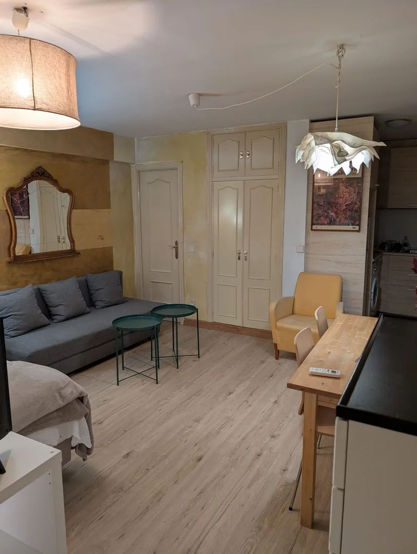 Estudio en Calle de la Cava Baja, 30, Palacio - Foto 22