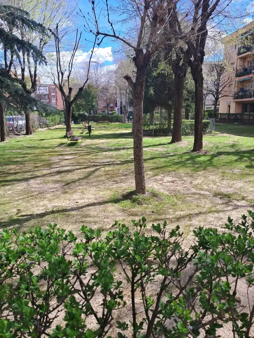 Piso en  Calle de Joaquín Ibarra 42 - Foto 4