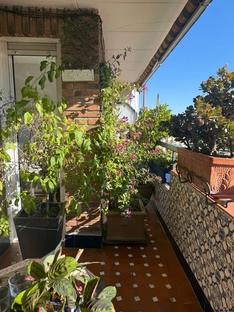 Piso en calle de Cartagena, 31 - Foto 4