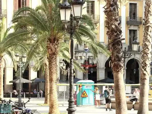 Piso en  Carrer de Ferran 8 - Foto 24