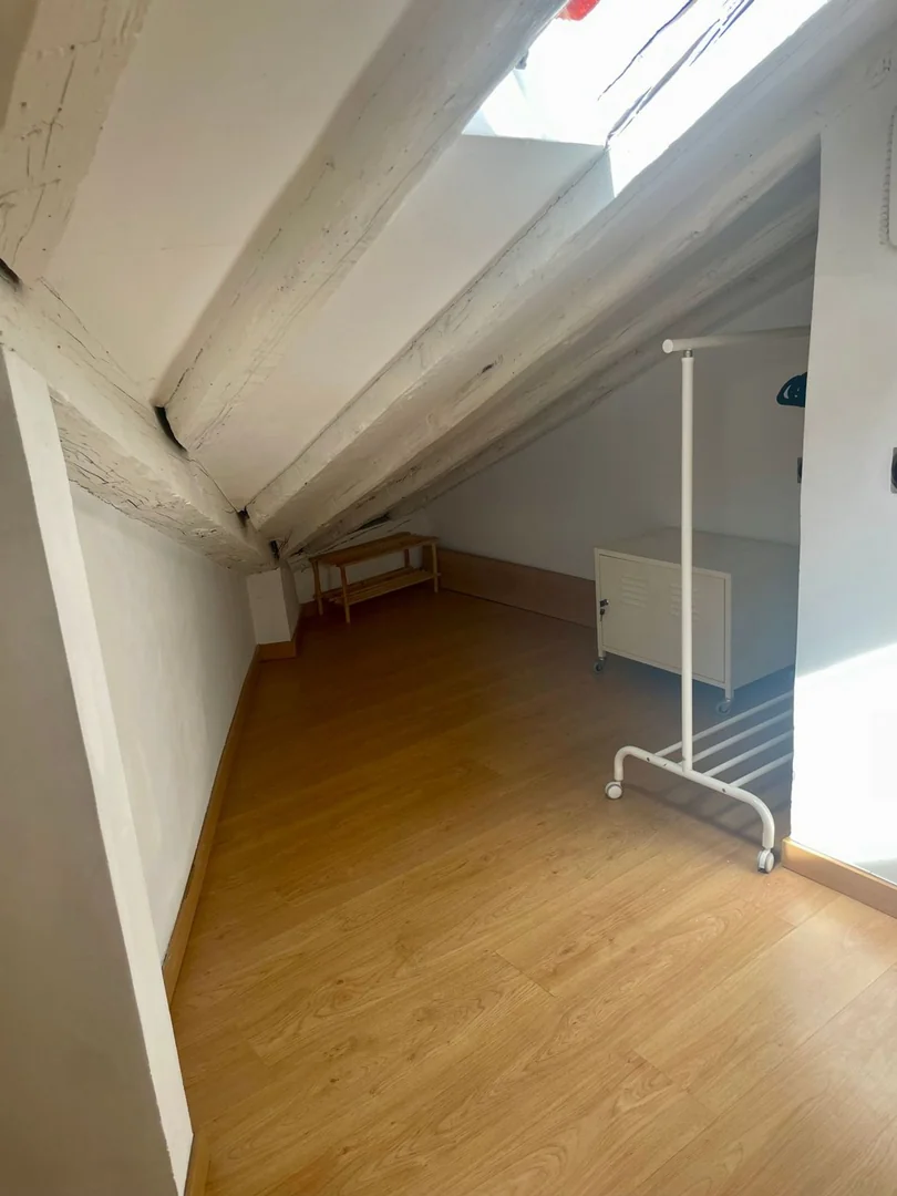Ático en Plaza de Cascorro, 2, Lavapiés-Embajadores - Foto 16