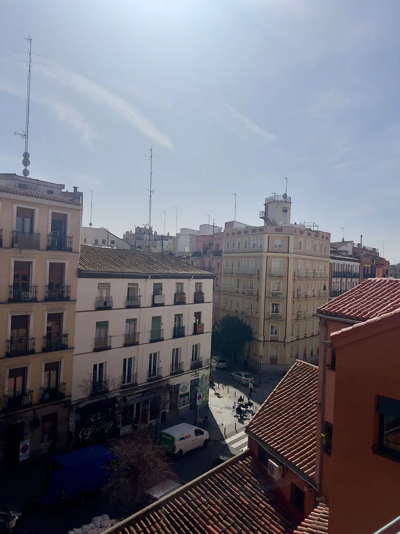 Piso en Barrio Lavapiés-Embajadores - Foto 12