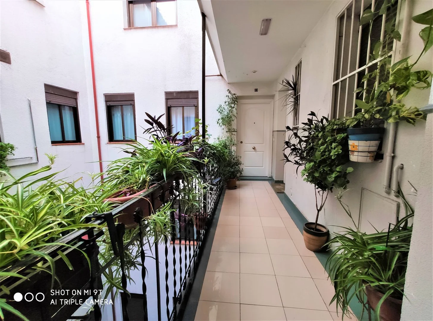 Piso en paseo del Rey, 18 - Foto 3