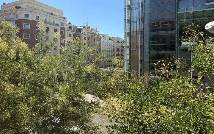 Piso en  Calle de Goya 121 - Foto 4