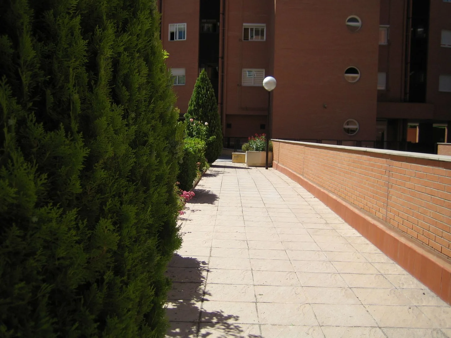 Piso en Calle del Cañón del Río Lobos - Foto 23