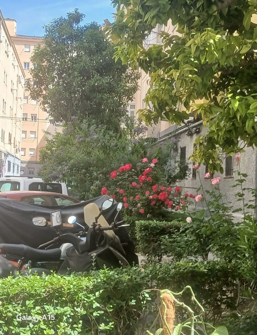 Piso en Paseo de las Delicias, 63, Delicias - Foto 2
