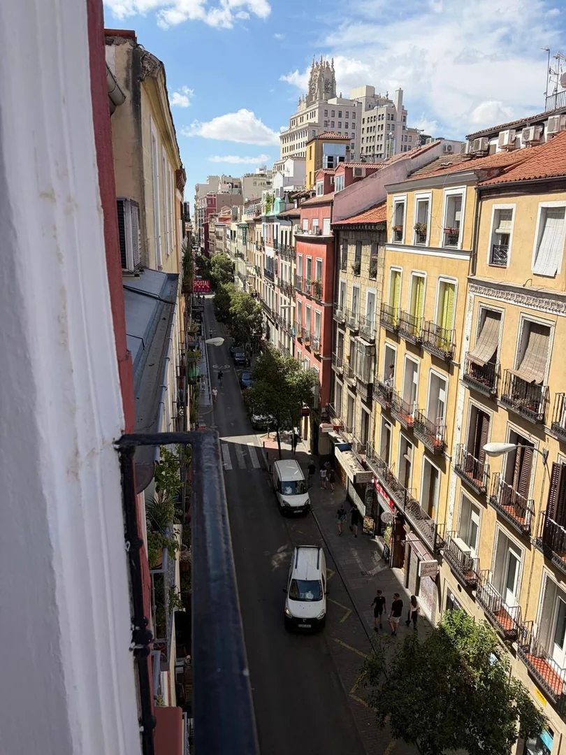 Dúplex en Calle de Hortaleza, 46, Chueca-Justicia - Foto 11