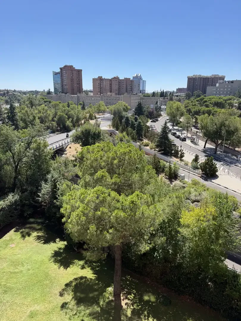 Piso en  Avenida de Pío XII 92A - Foto 12
