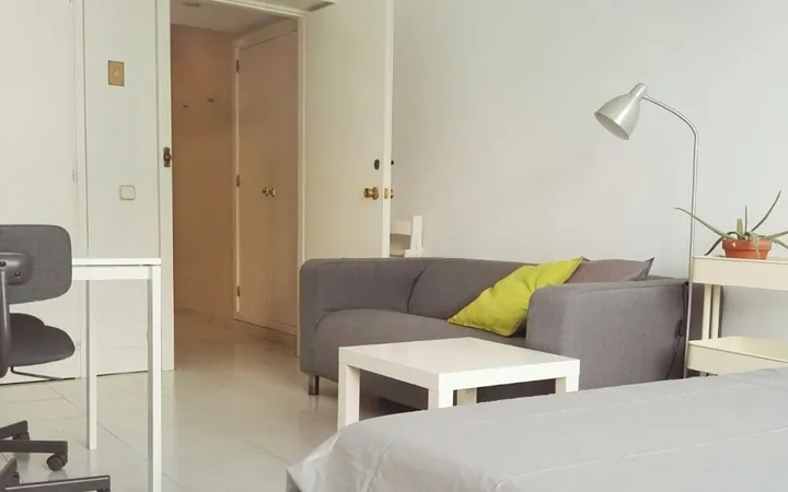 Estudio en Calle Velázquez, 146, El Viso - Foto 6