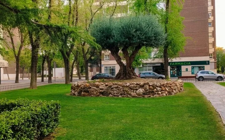 Piso en Pilar - Foto 15