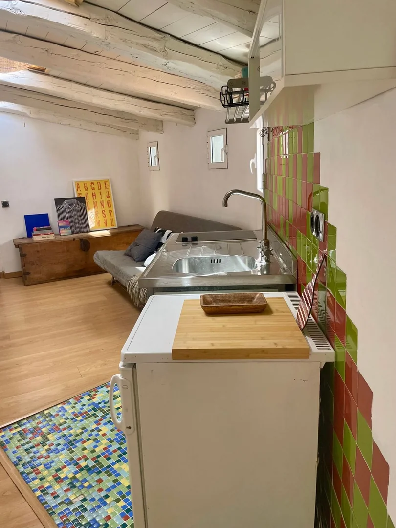 Ático en Plaza de Cascorro, 2, Lavapiés-Embajadores - Foto 21