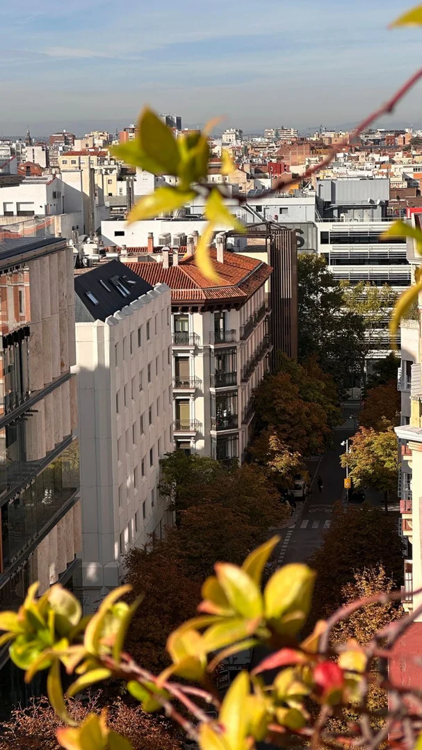 Ático en Barrio Castellana - Foto 7