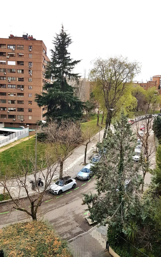 Piso en Calle Costa Rica, 40, Bernabéu-Hispanoamérica - Foto 23