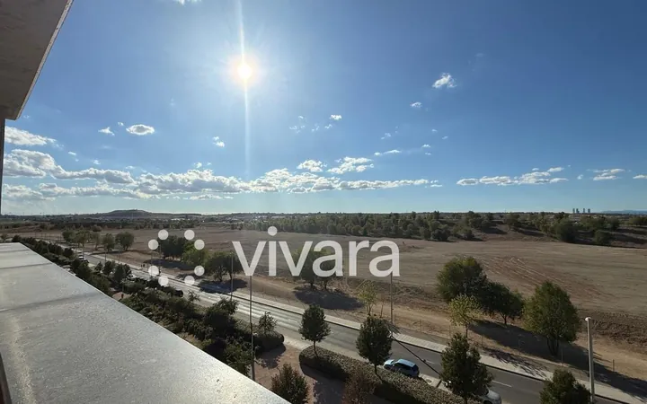 Piso en Calle del Alto del Esparragal, El Cañaveral - Foto 1