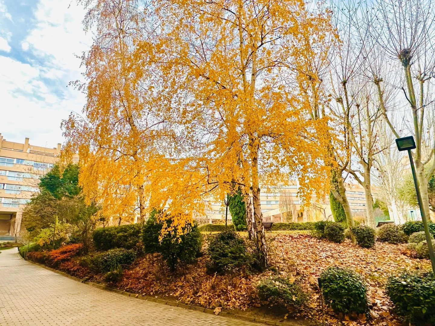 Ático en calle de José Antonio Navarrete, 9 - Foto 26