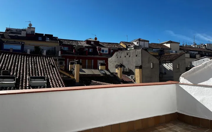 Ático en Calle de la Cava Baja, 24, Palacio - Foto 4