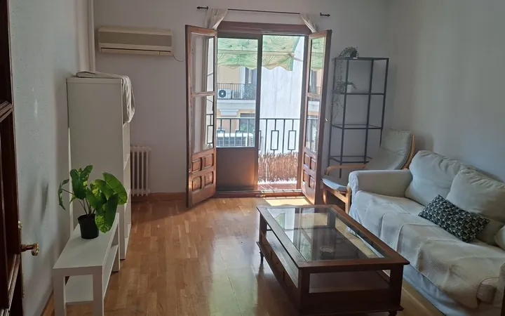 Piso en Calle de Toledo, 84, Palacio - Foto 1