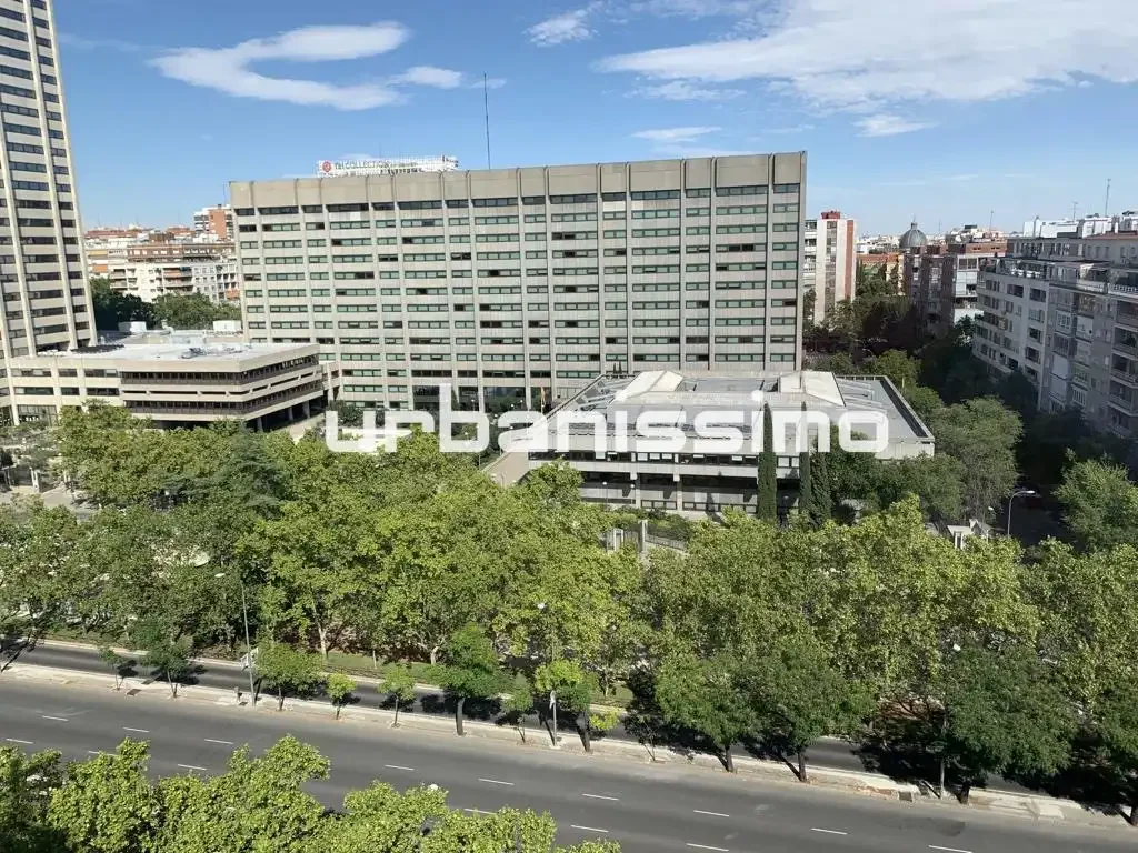 Piso en  Paseo de la Castellana - Foto 11